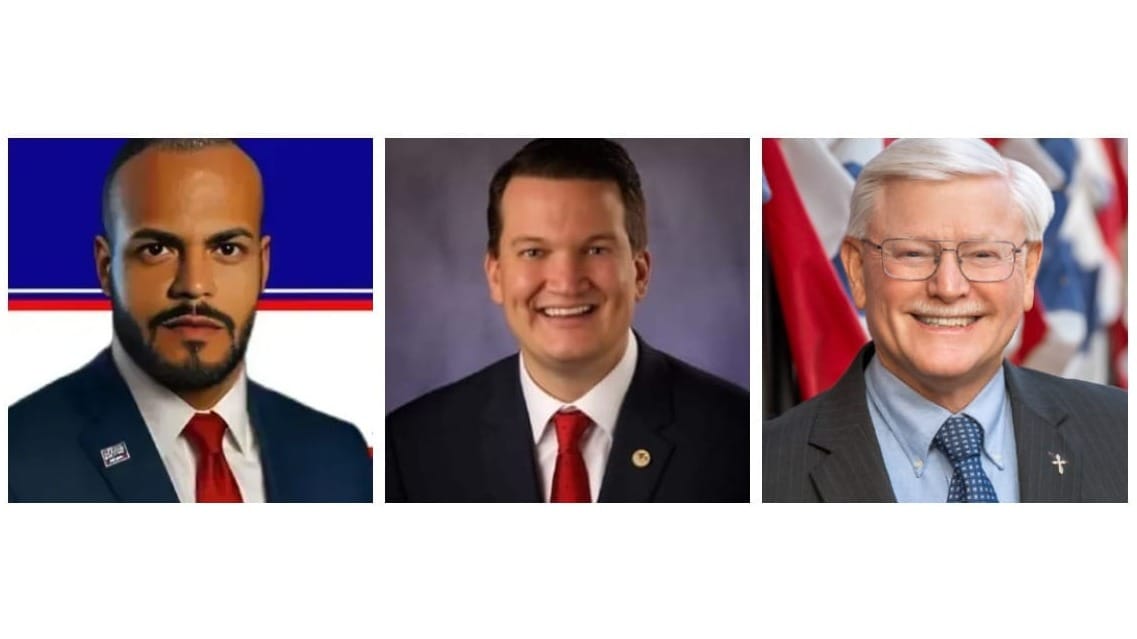 Illinois Senate 45th District: meet the candidates