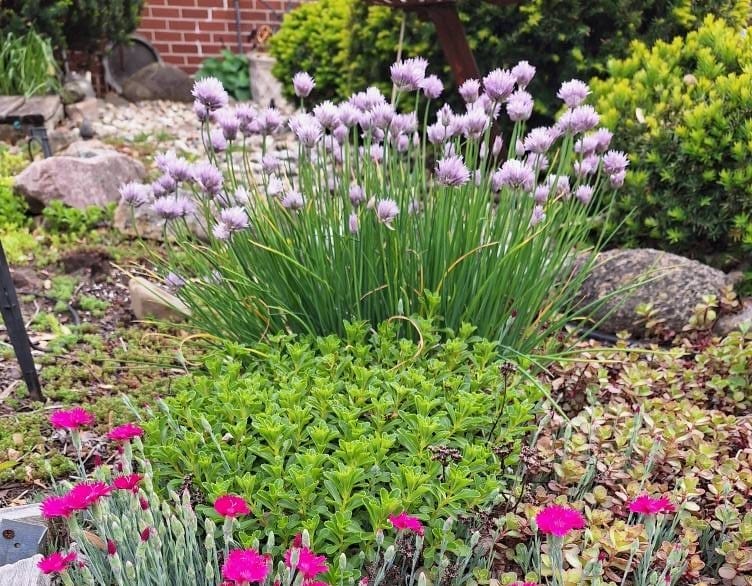 Rockton-Roscoe News: Thursday, May 23, 2025
