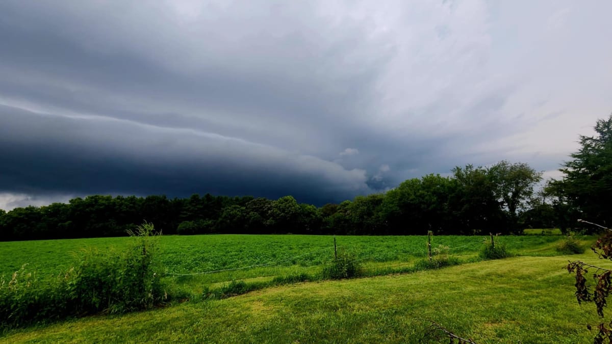 Rockton-Roscoe News: Wednesday, Aug. 20, 2025