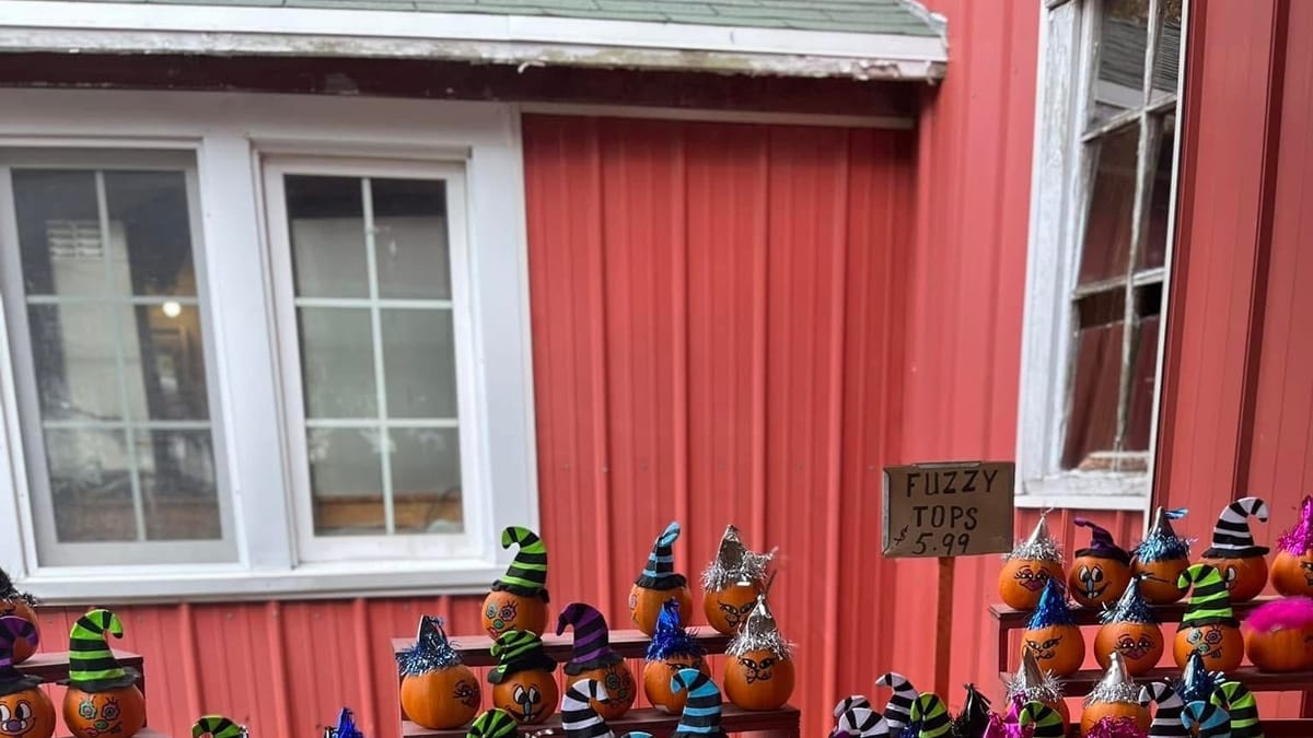 Fall in the Stateline: apples, markets, and hometown traditions