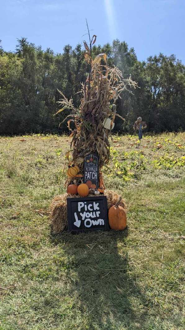 Pumpkin Patch Food Drive