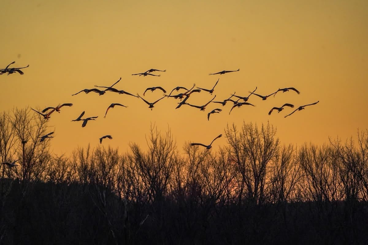 Rockton-Roscoe News: Monday, Nov. 24, 2025