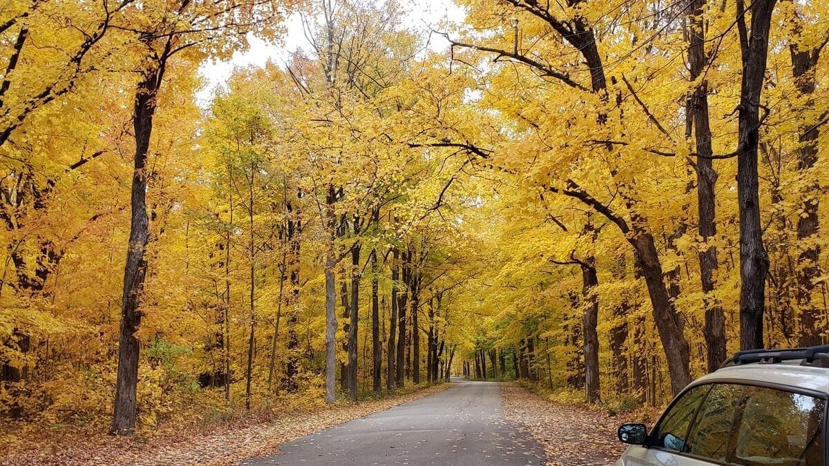 Rockton-Roscoe News: Wednesday, Nov. 5, 2025