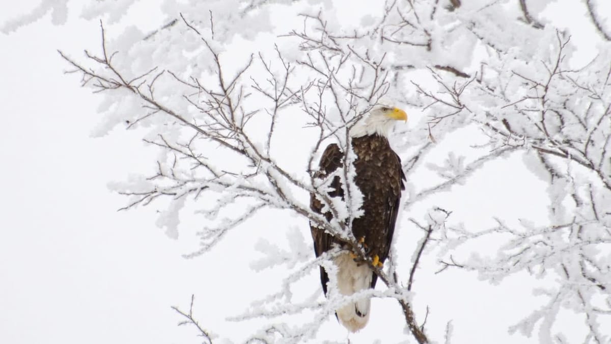 Rockton-Roscoe News: Sunday, Dec. 21, 2025