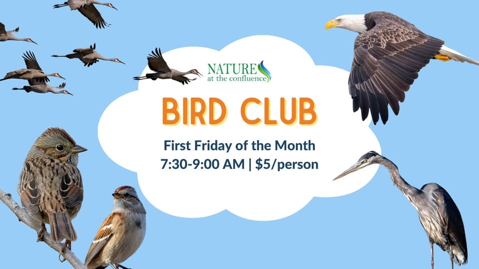 Bird Club at the Confluence