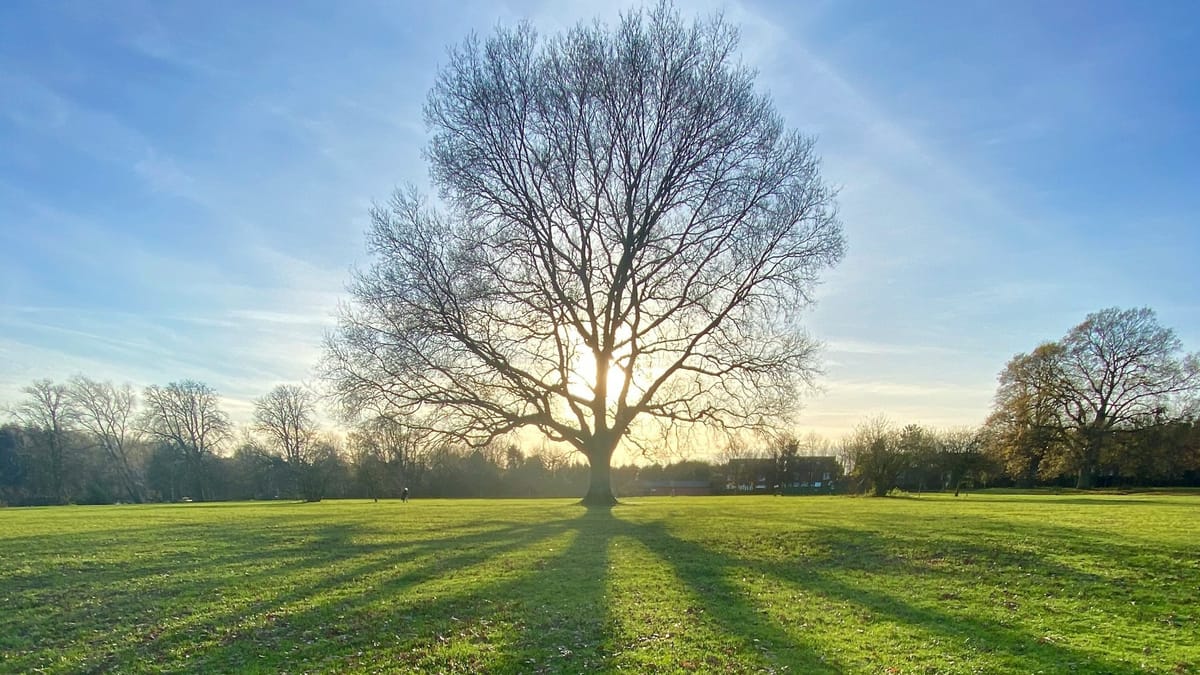 Strong spirits: hope