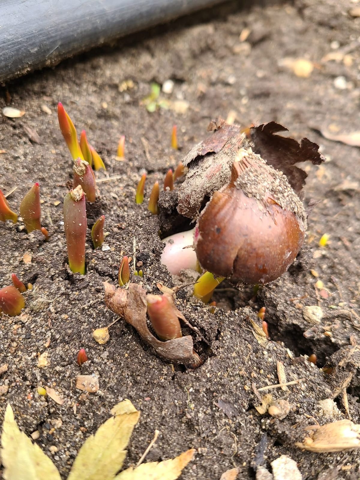 Rockton-Roscoe News: Tuesday, Feb. 24, 2026