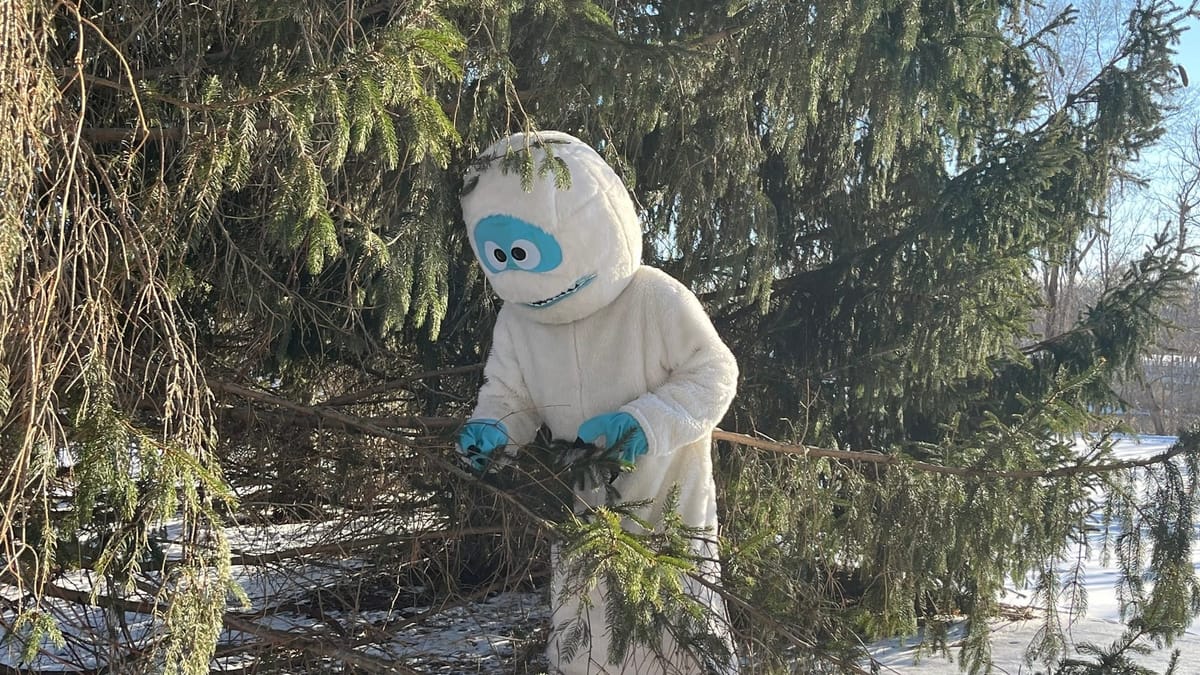 Yeti Fest carved out winter fun for all ages