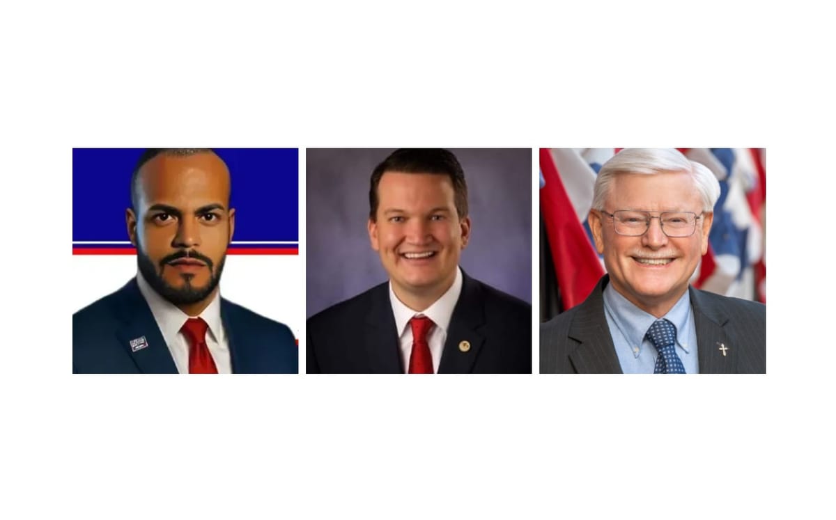 Illinois Senate 45th District: meet the candidates