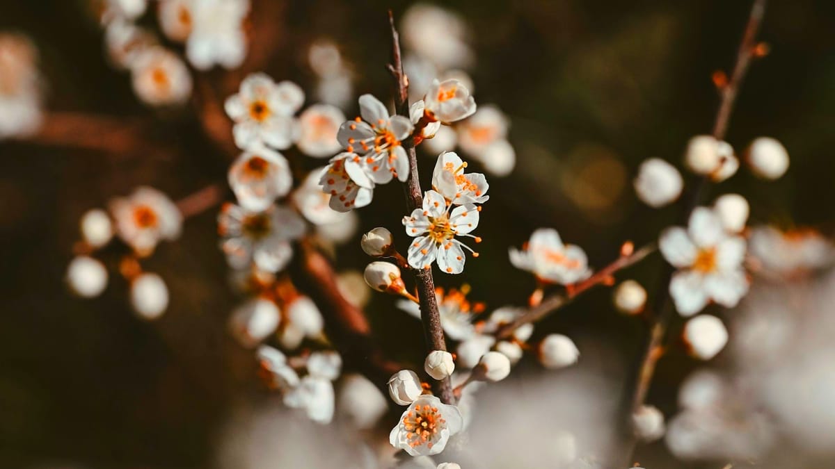 Rockton-Roscoe News: Tuesday, Mar. 24, 2026