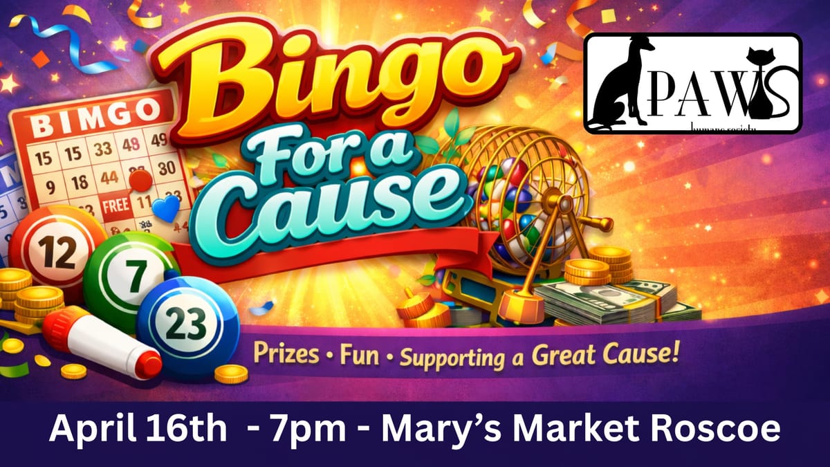 Bingo For A Cause @ Mary's Market