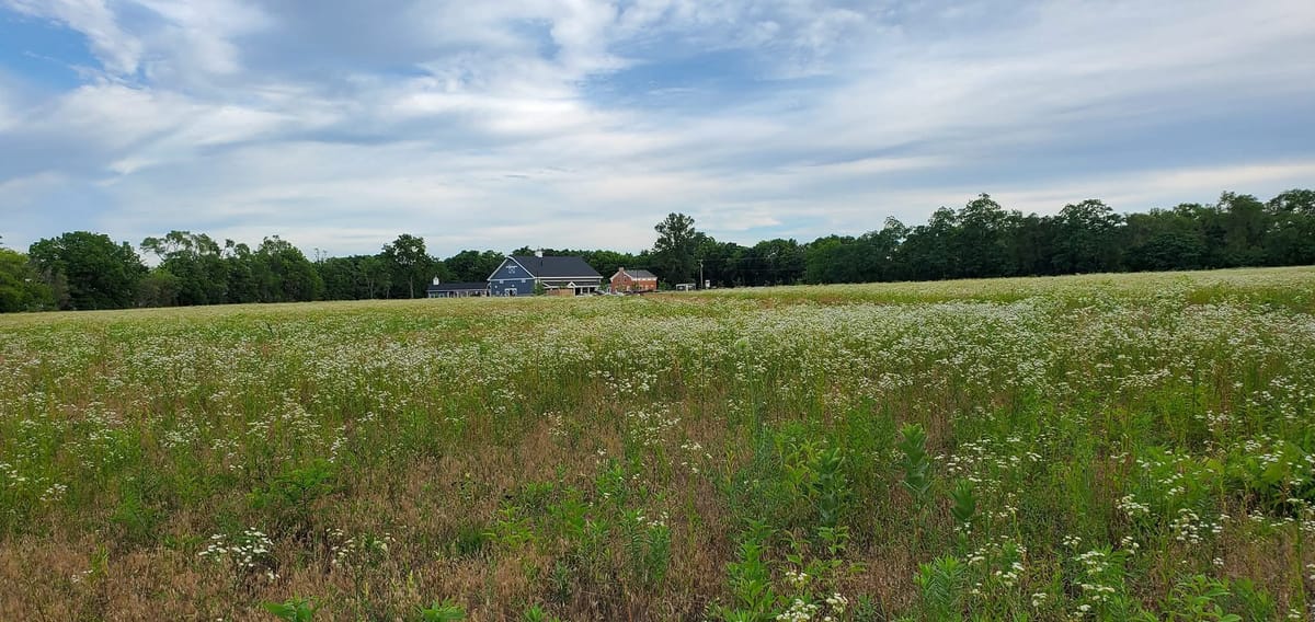 Celebrate Earth Day with the Roscoe Township Community Center's New Program: Peace in the Prairie at Cross Park
