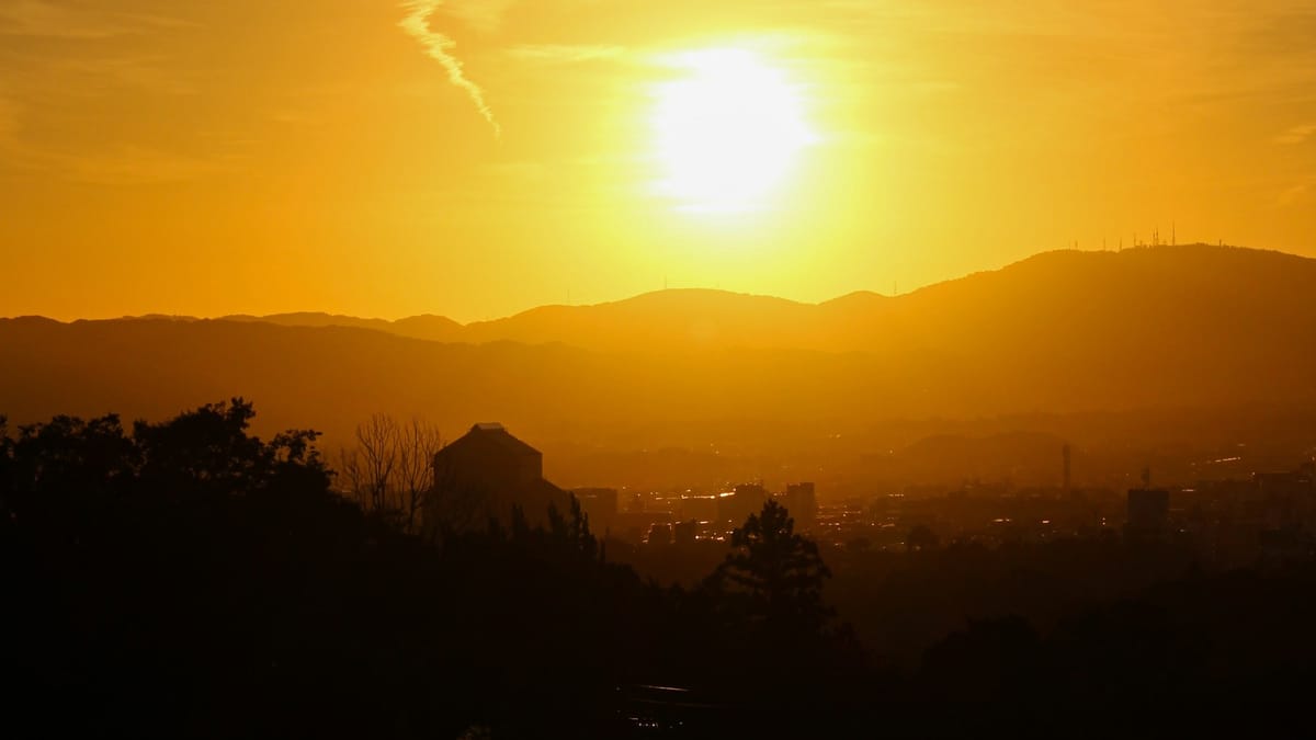 50 North, Senior Activity Event: A Golden Day