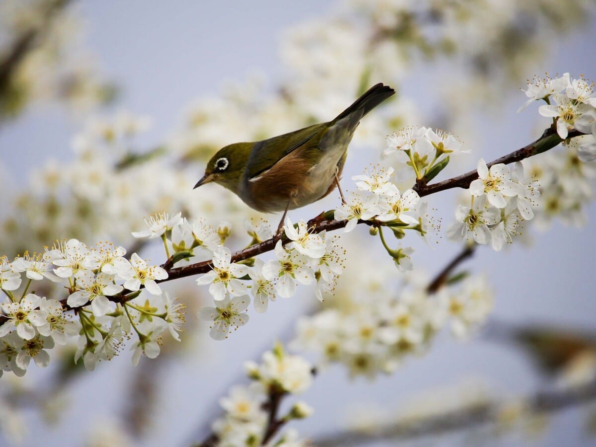 Marilyn Gunther enjoyed gardening and bird watching