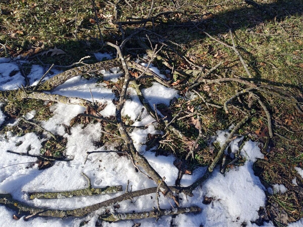 Fallen branches and storm debris? Roscoe and Rockton residents have options