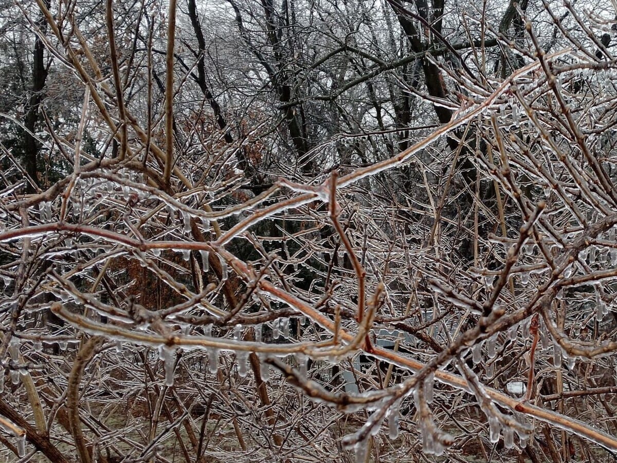 Power out for hundreds in Roscoe and Rockton area
