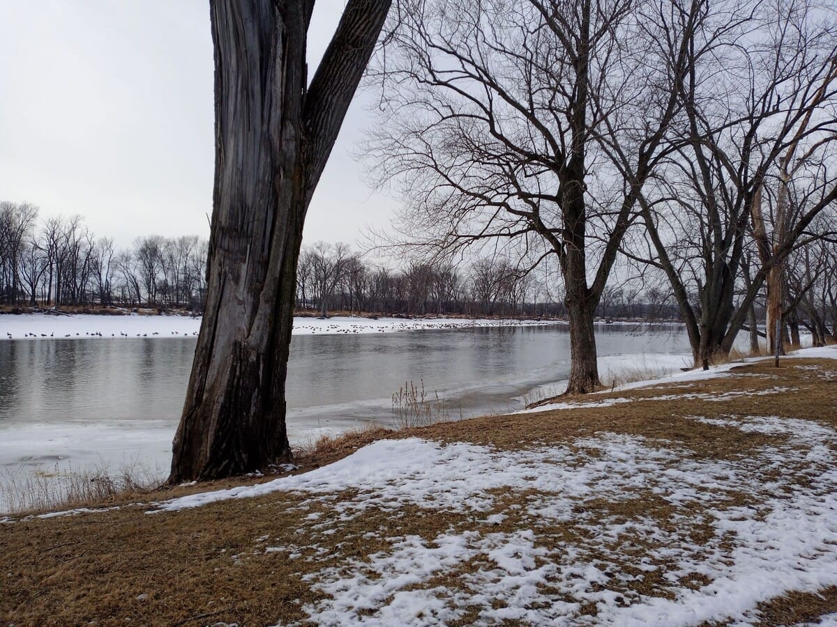 Minor flooding expected on the Rock River this week
