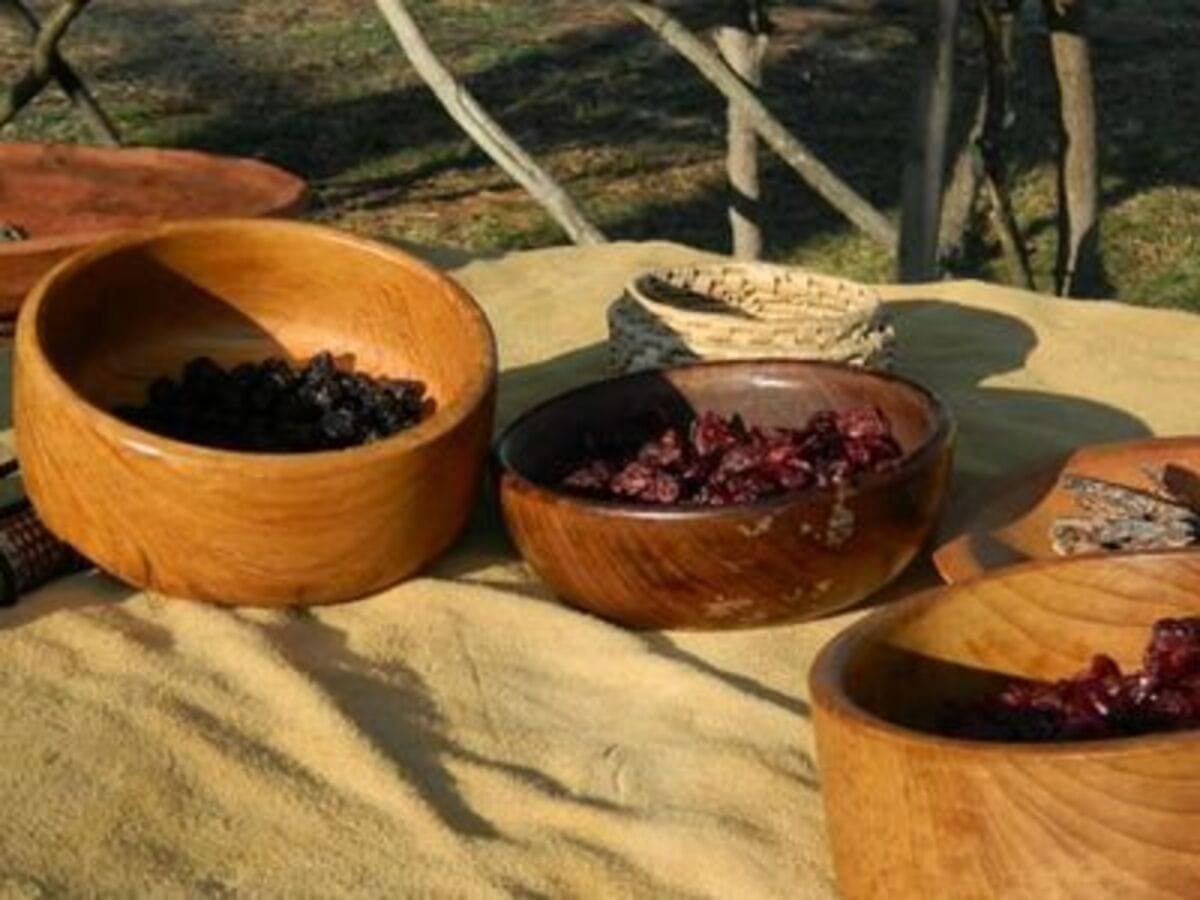 Food Preservation at Macktown