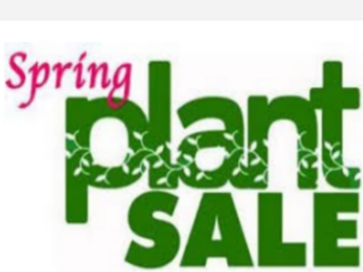 Spring Plant Sale