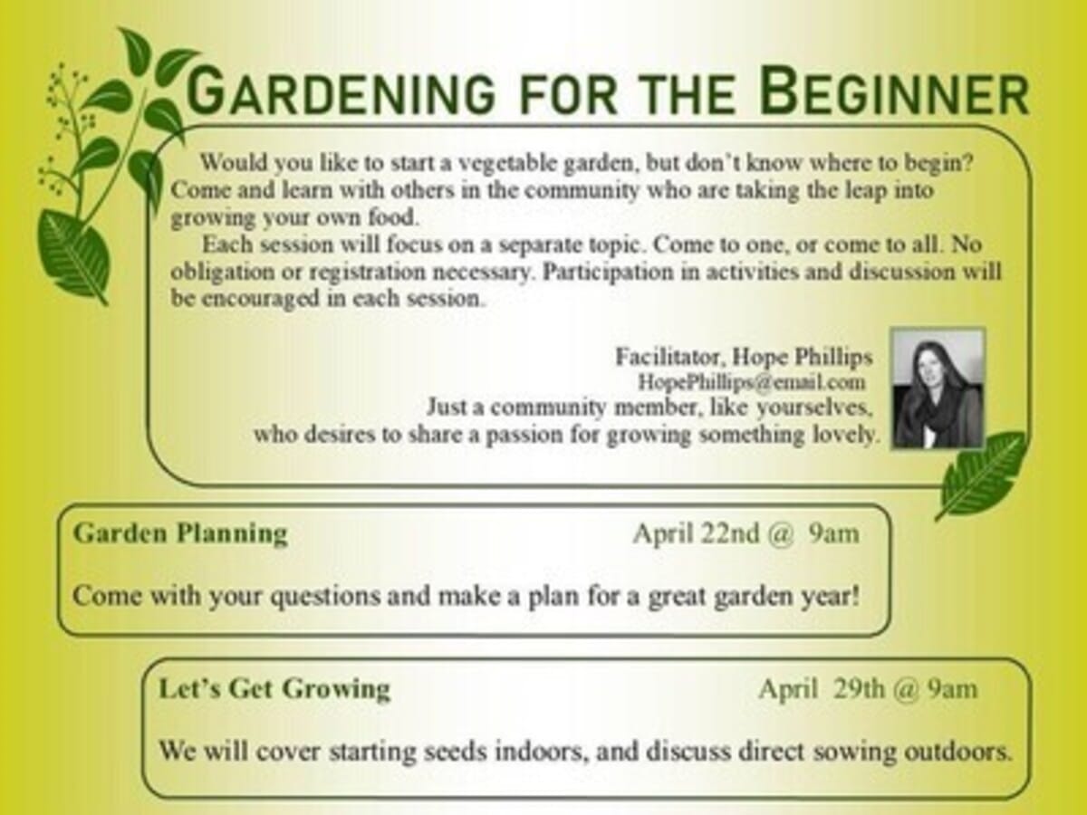 Gardening for the Beginner: Let's Get Growing