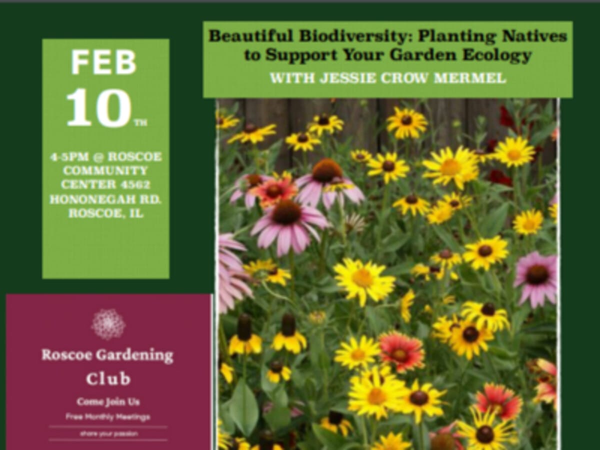 Roscoe Gardening Club - Beautiful Biodiversity: Planting Natives to Support Your Garden Ecology