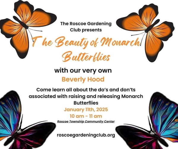 Roscoe Gardening Club - Beauty of Monarch Butterflies