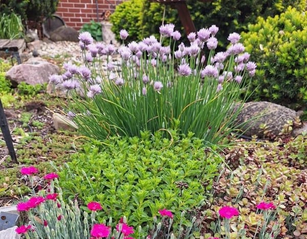 Rockton-Roscoe News: Thursday, May 23, 2025