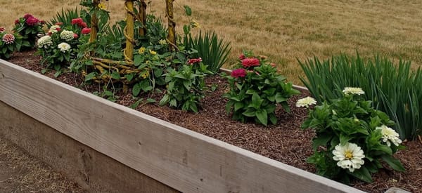 RUMC Garden Club hosting annual Plant & Tool Sale