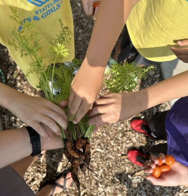 South Beloit Youth Garden Program