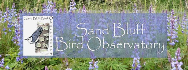 Sand Bluff Bird Observatory Annual Open House