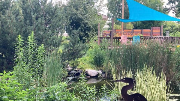 Rockton-Roscoe News: Saturday, July 5, 2025