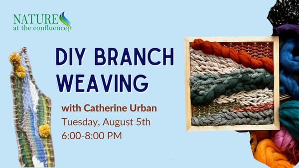 DIY Branch Weaving