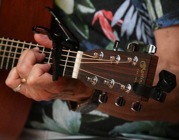 Music: Brad Palmer at Poison Ivy Pub
