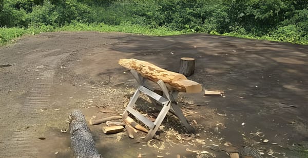 Chores in the 1840s: Macktown Living History