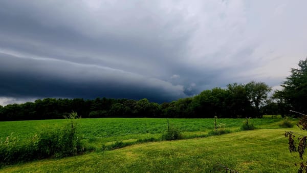 Rockton-Roscoe News: Wednesday, Aug. 20, 2025
