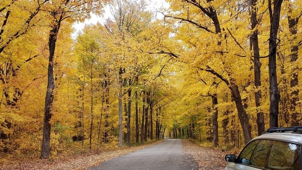 Rockton-Roscoe News: Wednesday, Nov. 5, 2025