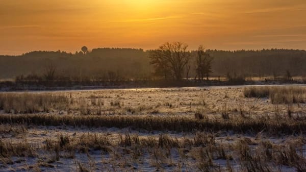 Rockton-Roscoe News: Wednesday, Dec. 17, 2025