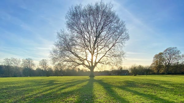 Strong spirits: hope