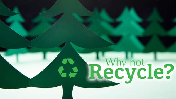 Rockton-Roscoe News: Friday, Jan. 2, 2026