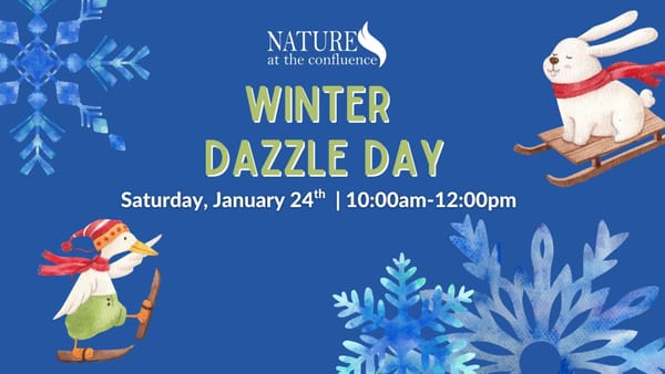 Winter Dazzle Day