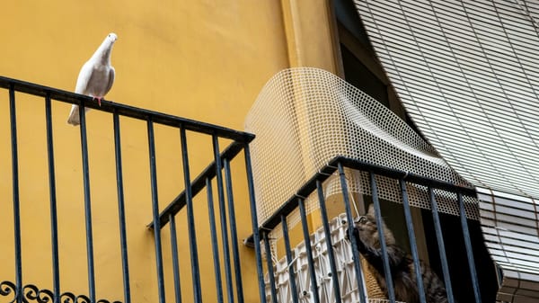 Strong spirits: tempted