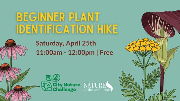 Beginner Plant Idenification Hike