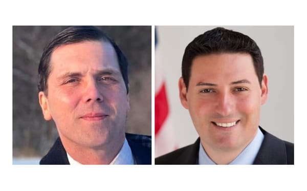 Illinois's 90th District: meet the candidates