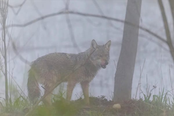Rockton-Roscoe News: Sunday, May 3, 2026