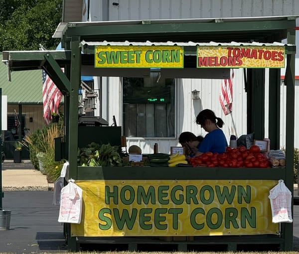 Rockton-Roscoe News: Thursday, July 23, 2026