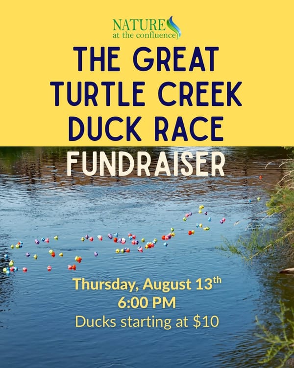 Rockton-Roscoe News: Friday, July 31, 2026