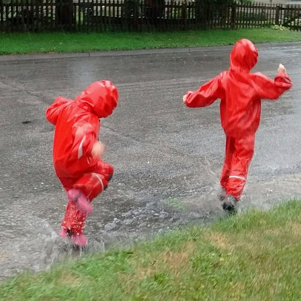 Rockton-Roscoe News: Sunday August 2, 2026