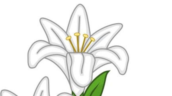 Lyle Fulton, 66 formerly of Roscoe Death Notice