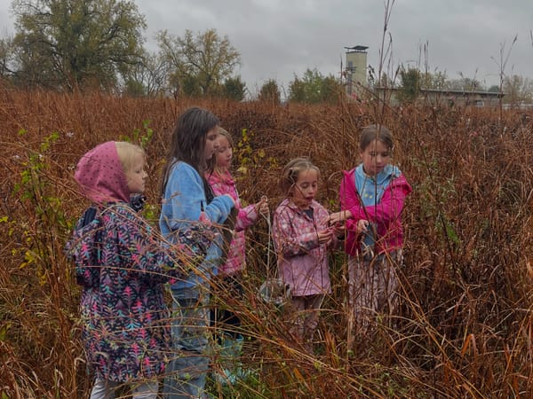 Rockton-Roscoe News: Tuesday, Oct 20 2026