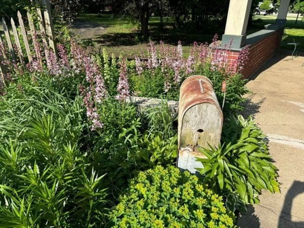 Baker's dream: song of the garden